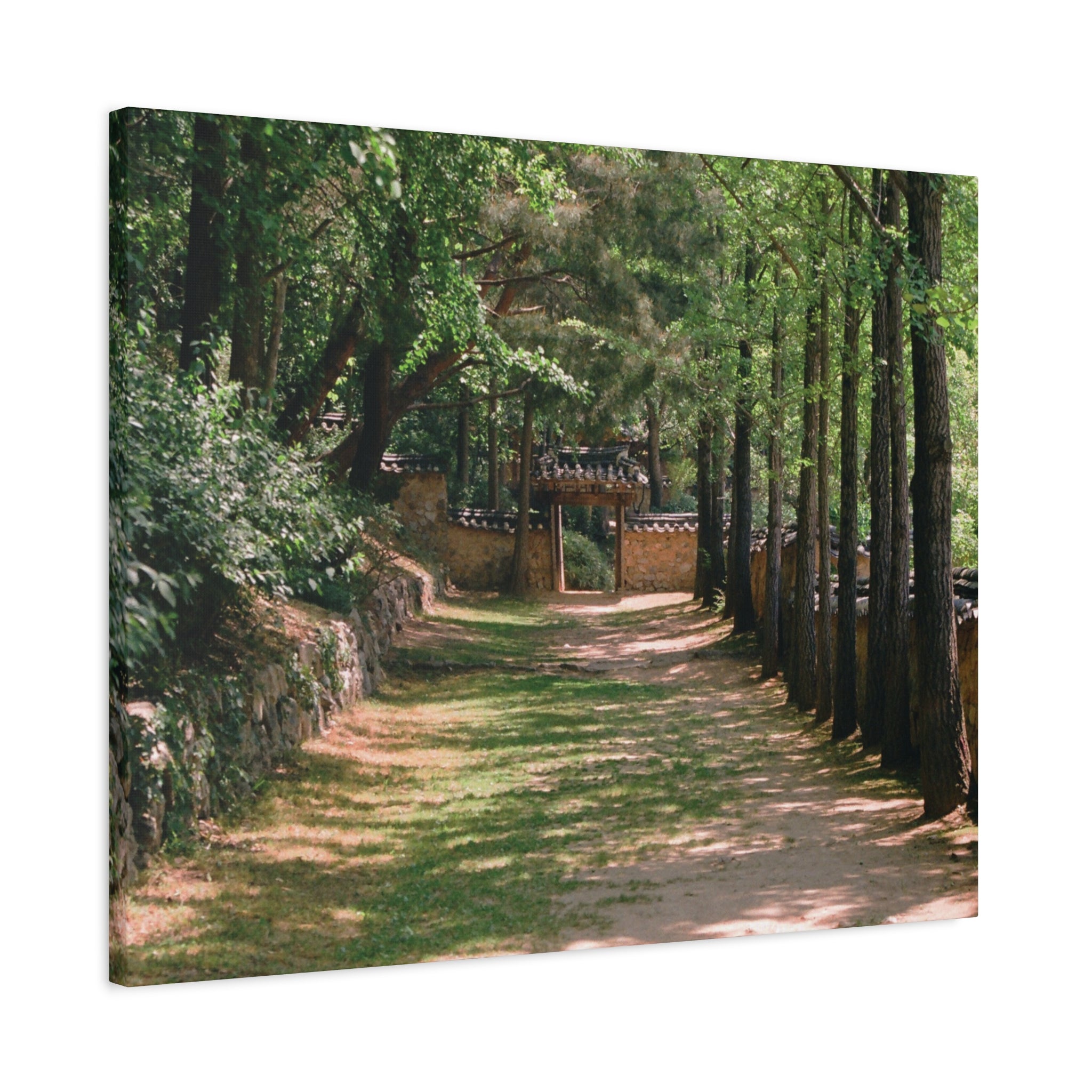 Korean Yongin Folk Village Hanok Lane Canvas Print