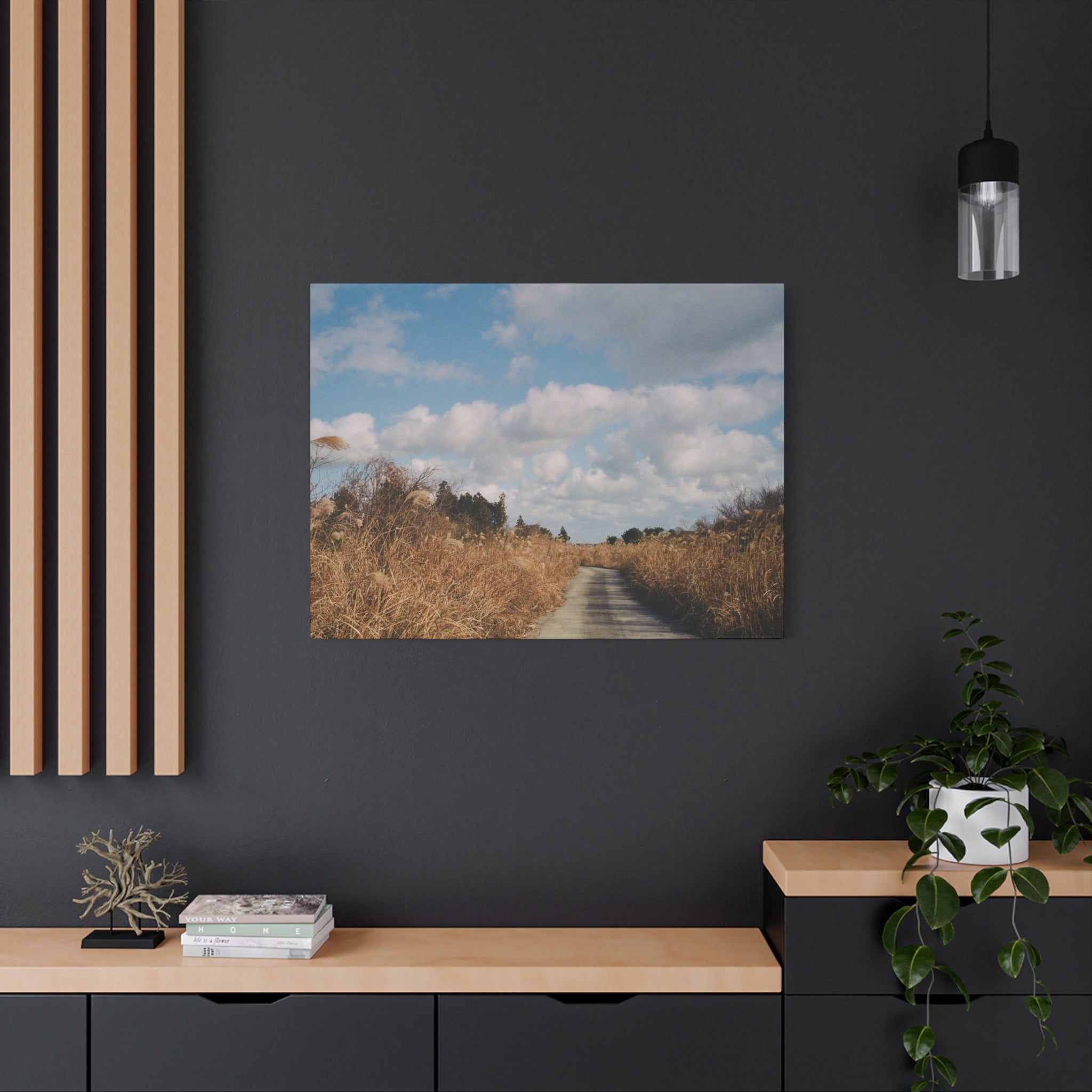 Jeju Gotjawal Winter Silver Grass Canvas Print