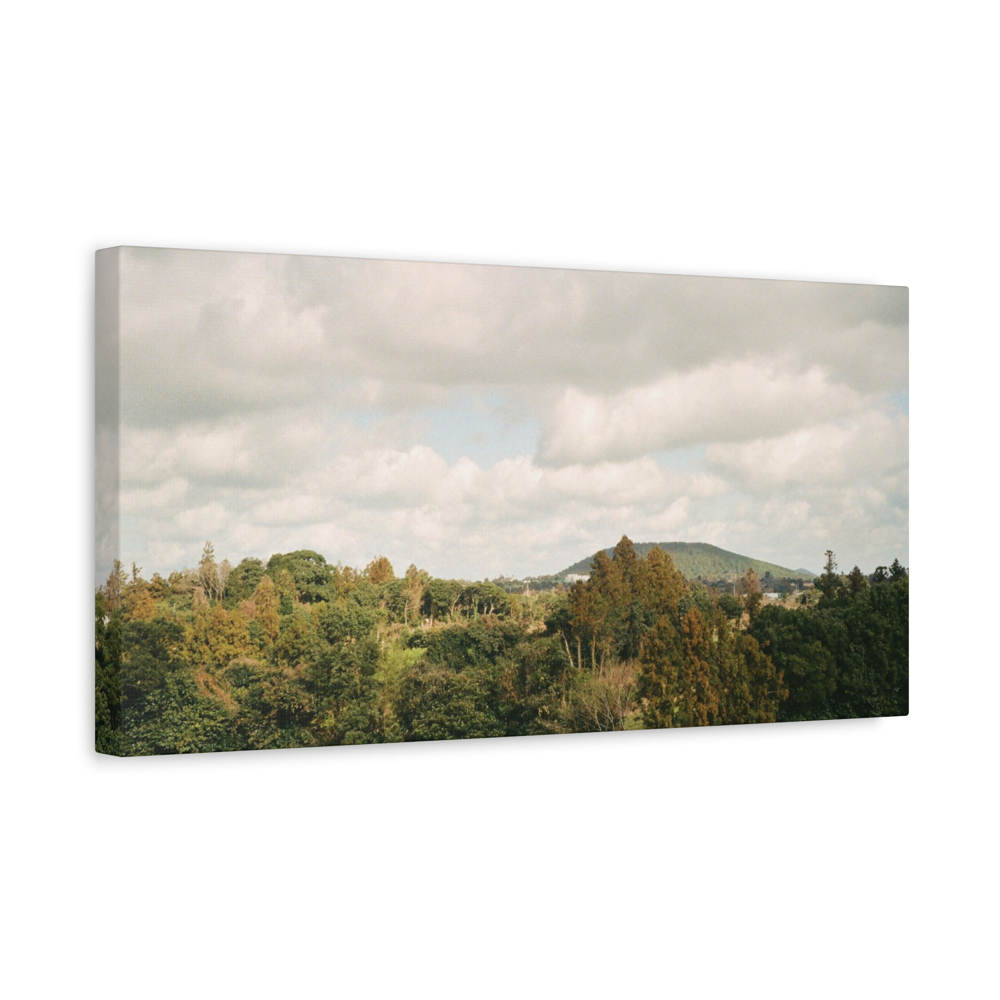 Jeju Wind-Swept Oreum and Clouds Canvas Print