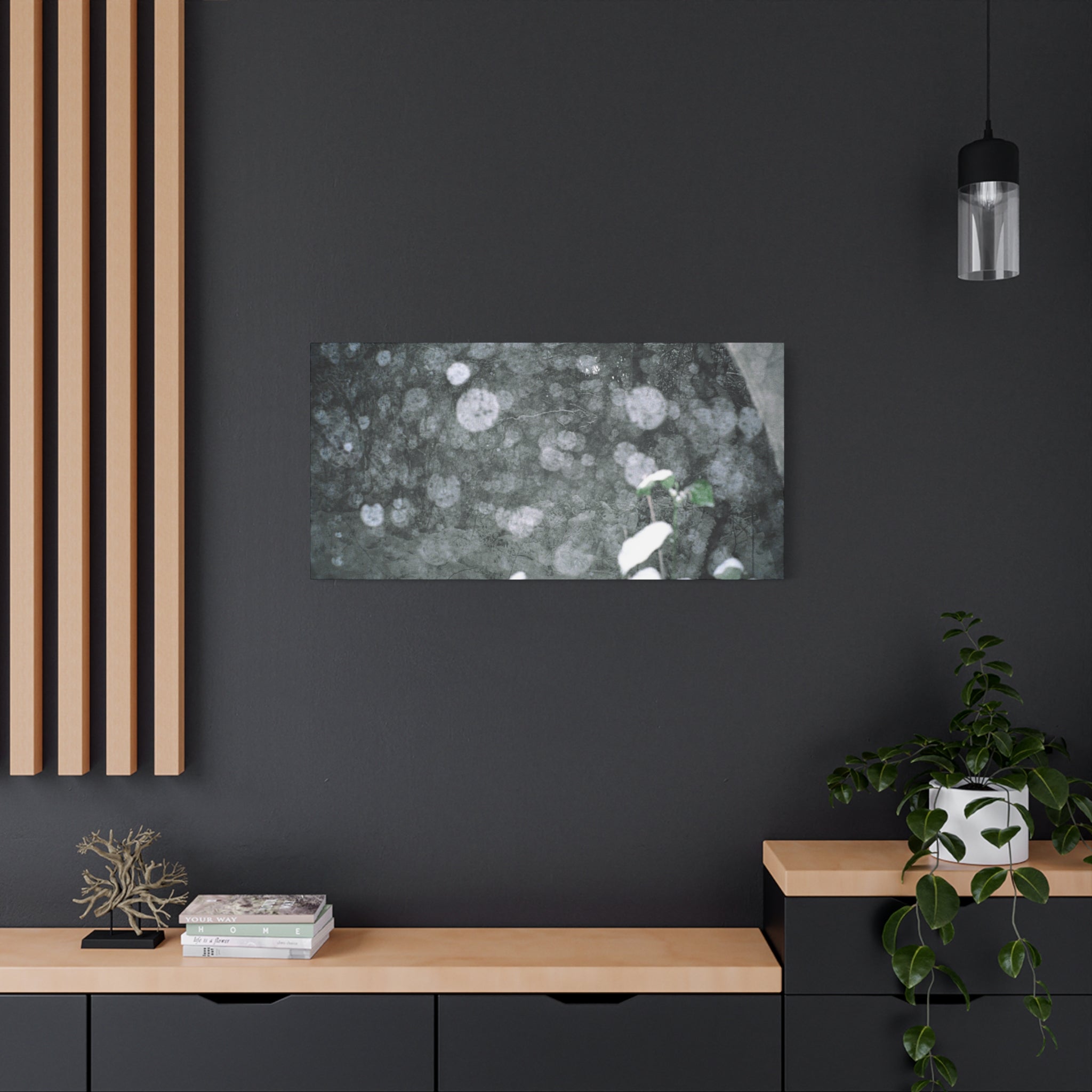 Jeju Snowy Gotjawal Forest Canvas Print