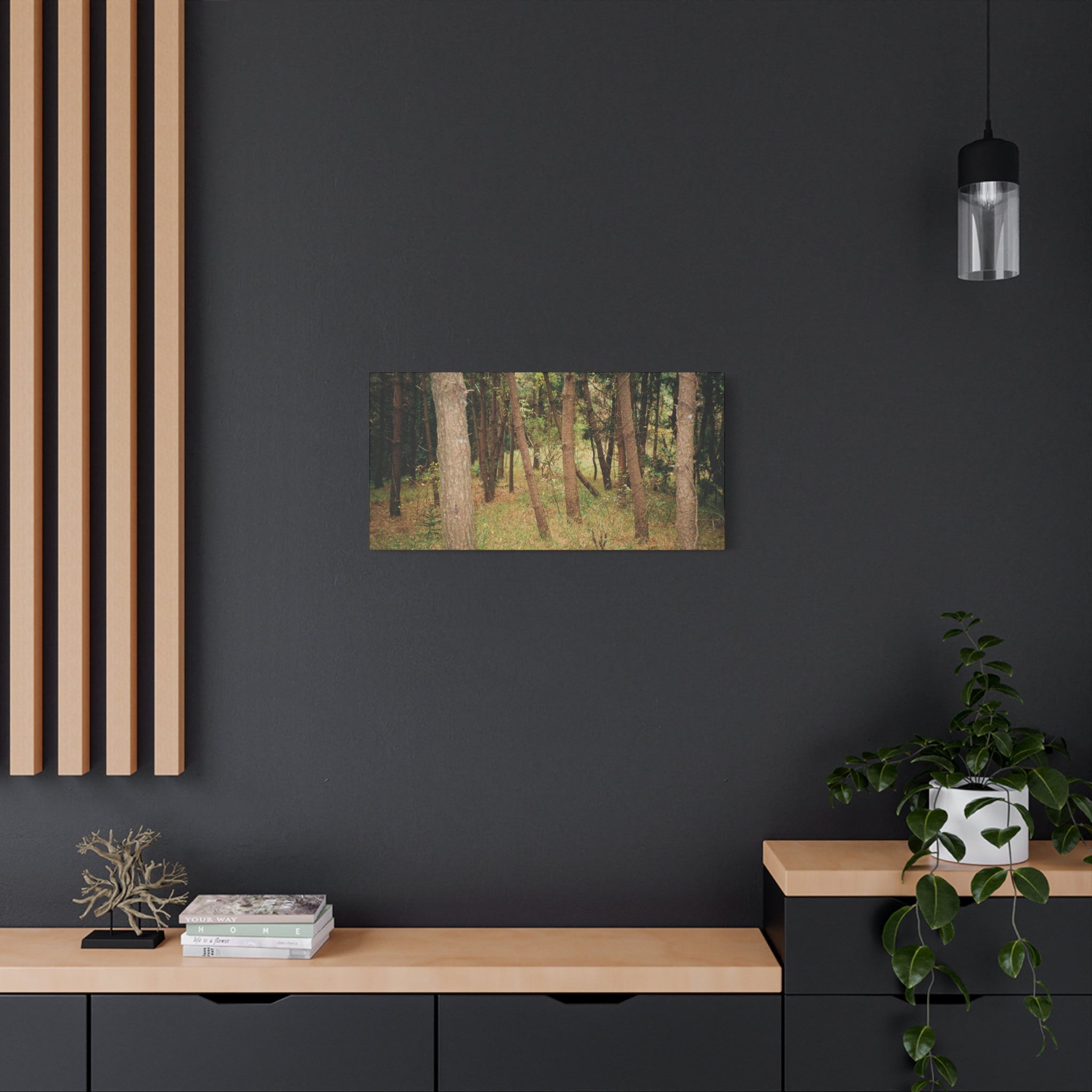 Jeju Gungdae Oreum Forest Canvas Print