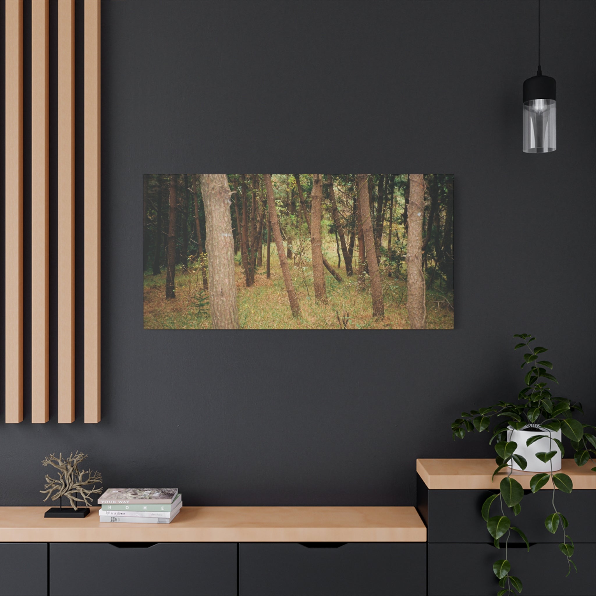 Jeju Gungdae Oreum Forest Canvas Print
