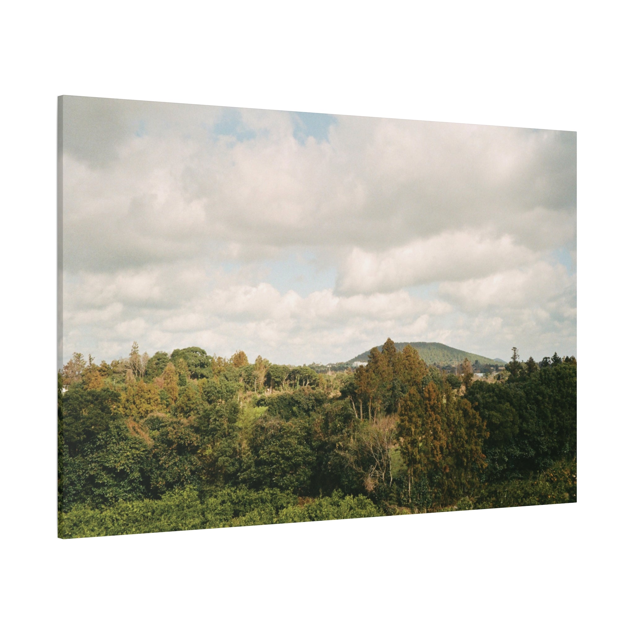 Jeju Wind-Swept Oreum and Clouds Canvas Print