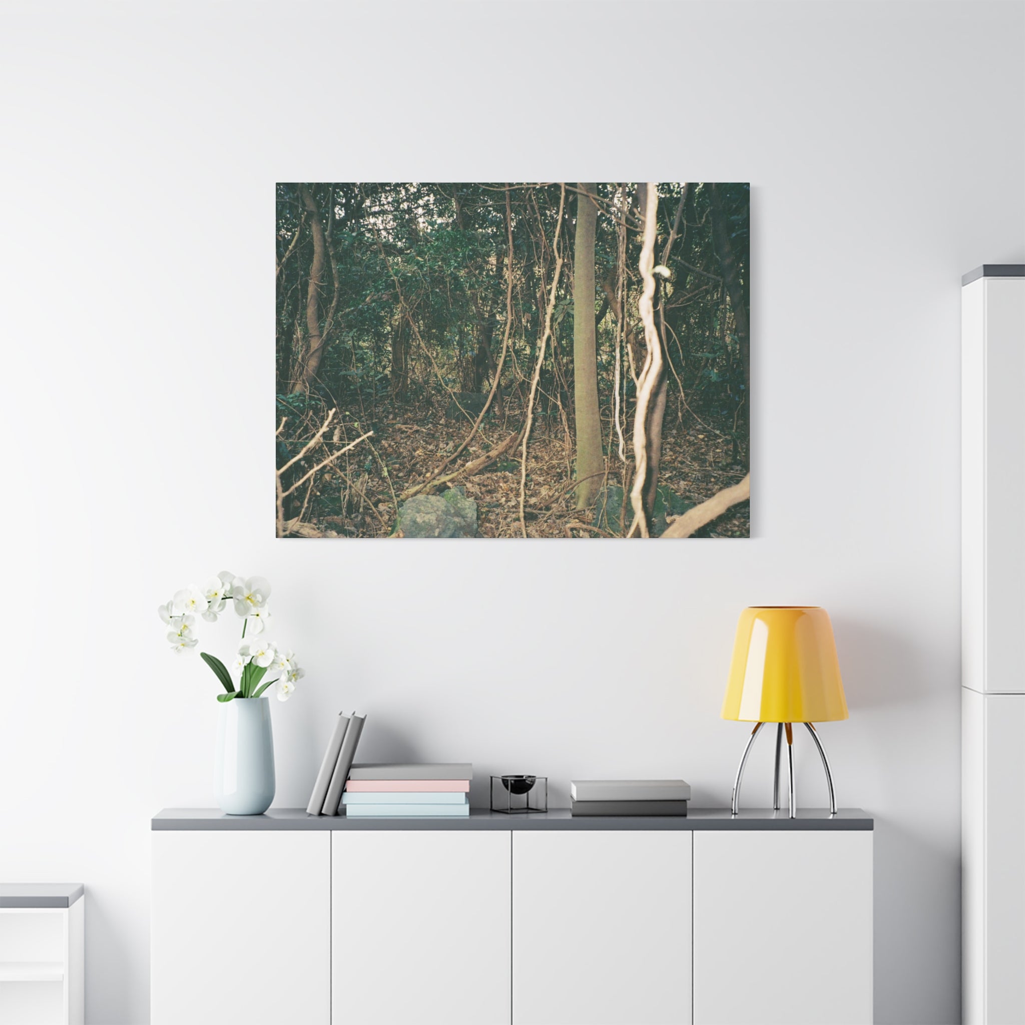 Jeju Gotjawal Forest Canvas Print