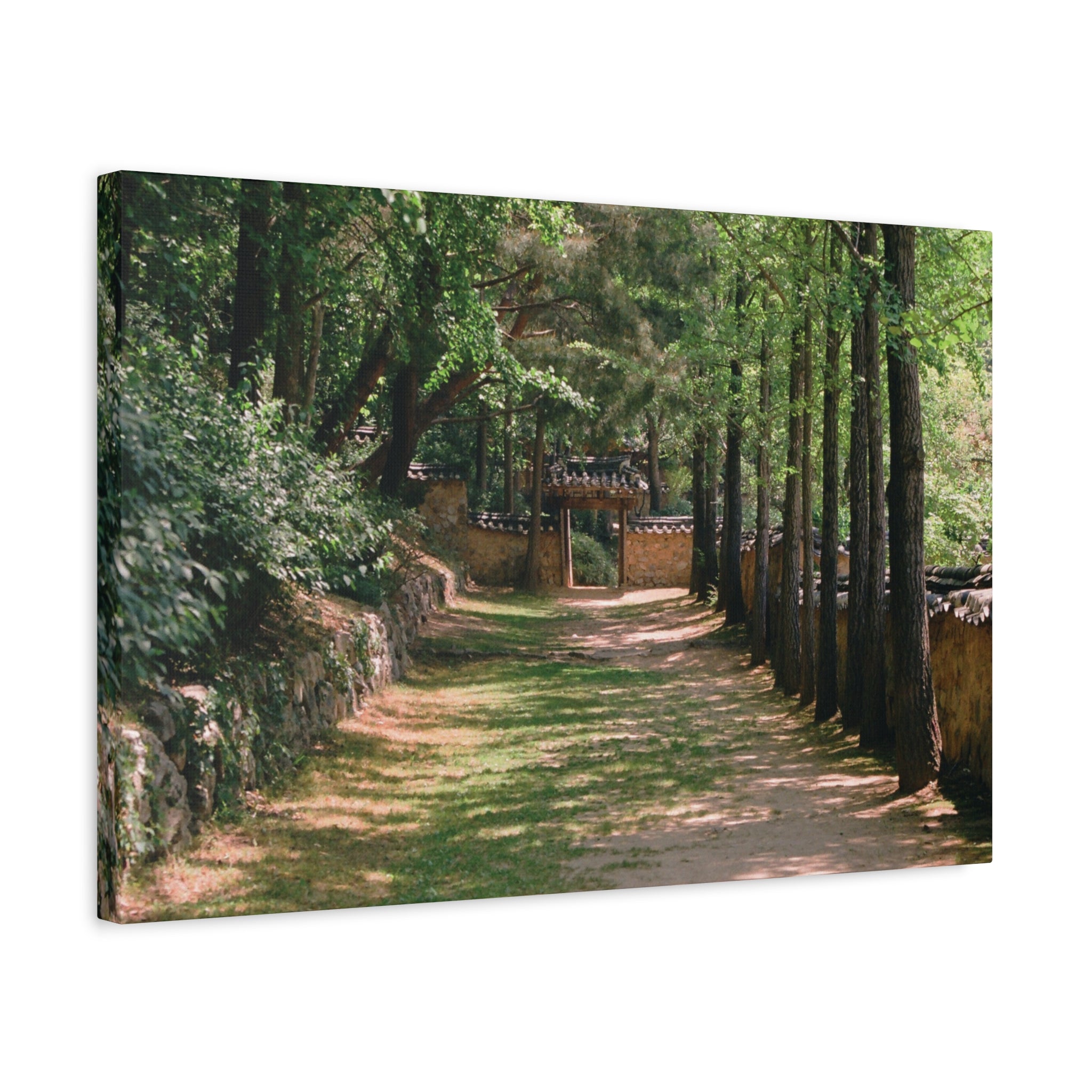 Korean Yongin Folk Village Hanok Lane Canvas Print